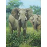 Joel Kirk (b1948)  A STUDY OF ELEPHANTS oil on canvas, signed lower right, within a modern frame.