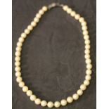 A STRING OF SEAWATER PEARLS of uniform size, 48 pearls with marcasite fastener.  CONDITION: Catch as