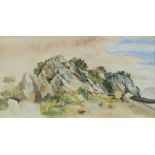 A 19TH/20TH CENTURY WATERCOLOUR a study of a rocky outcrop, unsigned, in a moulded frame, under