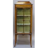 AN EDWARDIAN MAHOGANY DISPLAY CABINET having a raised, shaped back with painted decoration, glazed