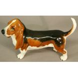A BESWICK 'BASSET HOUND' MODEL in white, tan and chestnut colourway. 19cm(L) CONDITION: Good order.