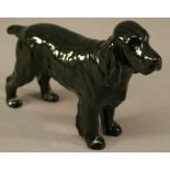 A BESWICK BLACK COCKER SPANIEL FIGURE black gloss. 14cm(h)  CONDITION: Good order.