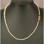 A 9CT GOLD AND PEARL NECKLACE, a string of graduating pearls ending with an amethyst-set knotted