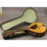 A GERMAN CASED 'DIXIE' MANDOLIN of traditional form with original case. 60cm(L) CONDITION: Some