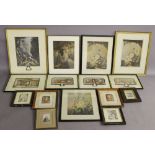 After George Baxter  A GROUP OF FIFTEEN PRINTS various topics and sizes, floral, landscapes,