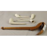 19th Century Lime Wood Clay Pipe Case and a Collection of Clay Pipes