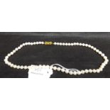 21" String of Cultured Pearls with 18ct Gold Clasp