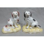 Pair of Early Staffordshire Dogs