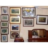 Twelve various framed prints. Condition report: see terms and conditions