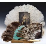Three ostrich feather fans and a photograph of a lady holding one of them; a wing feather fan; two