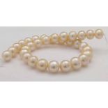 Freshwater pearl necklace, unstrung, of 32 pinkish beads 12.5 - 13mm, without a clasp,
Condition