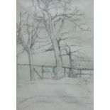 Ruskin Spear, R.A. (1911-1990),   Trees, signed, pencil, 50.5 x 35.5cm.; 20 x 14in.     Artists'