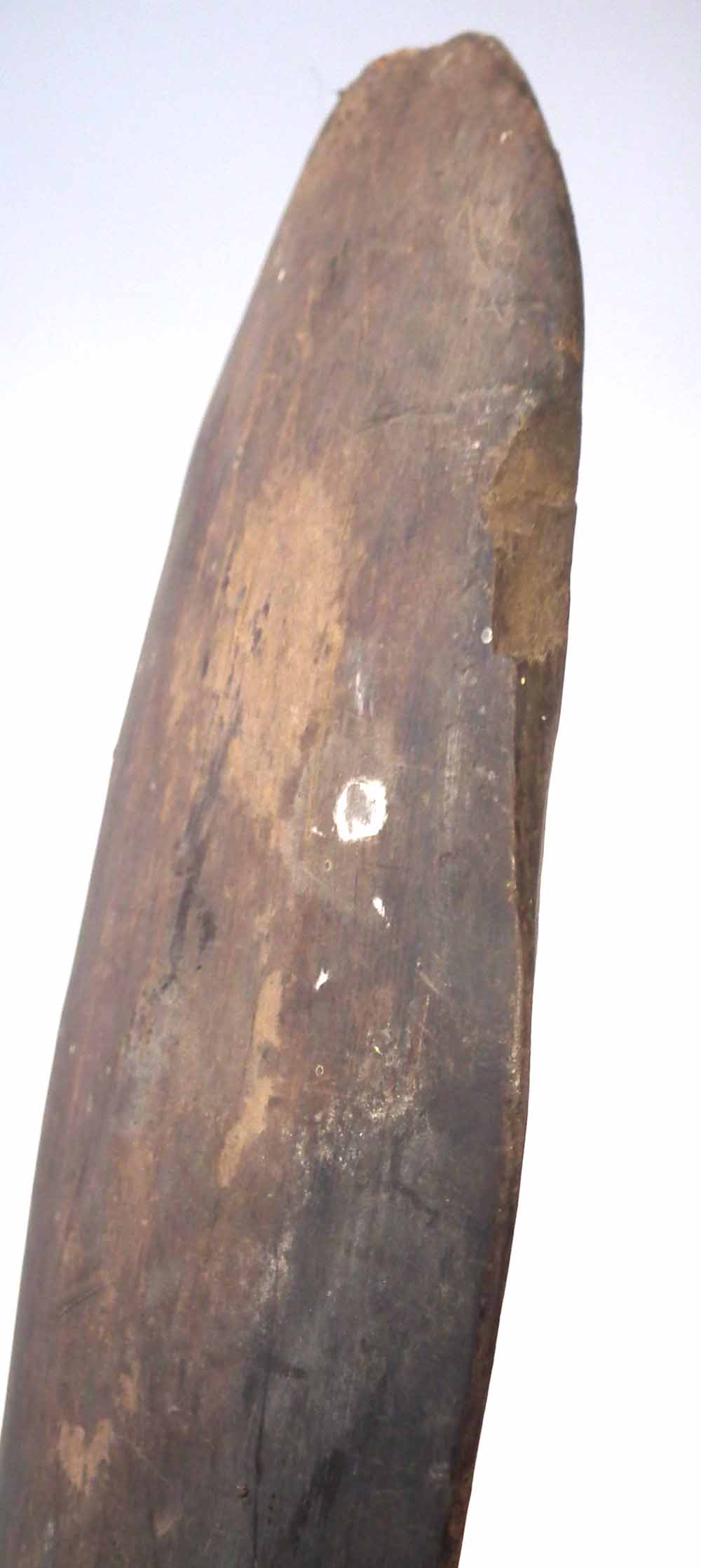 Polyenesian paddle war club probably Tongan, carved from dence hardwood, with square section grip - Image 7 of 11