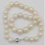 South Seas pearl necklace, graduated 11mm - 14.5mm, length 46cm, 97.8g gross, on 14k white clasp.