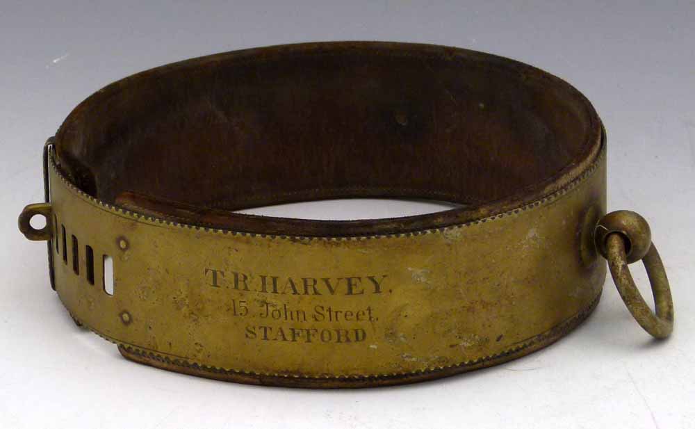 Brass and leather adjustable dog collar, inscribed " TR Harvey, 45 John Street, Stafford" width 6cm,