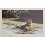 After David Shepherd (1931-),  "Indian Siesta", signed and numbered 305/1300 in pencil in the