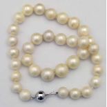 South Seas pearl necklace, graduated 11mm - 14.5mm, length 46cm, 97.8g gross, on 14k white clasp.