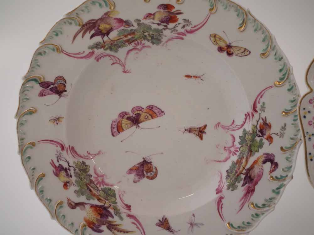 Two Chelsea plates circa 1760, painted with exotic birds within a feather and floral moulded border, - Image 5 of 9