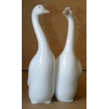 A Lladro Group of 2 ducks, 19.