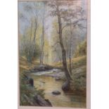 A Coloured Print depicting river landscape in woodland, in gilt frame,