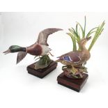 A pair of Royal Worcester Limited Edition models, by R.Van Ruyckevelt, of "Mallard Male" and "