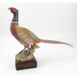 A Royal Worcester model, Ringneck Pheasant Cock, modelled by Ronald Van Ruyckevelt, standing on a