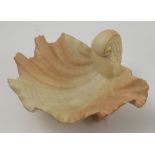 A Royal Worcester blush ivory bowl, moulded as a shell, raised on three conche shell feet, dated