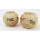 A pair of Royal Worcester blush ivory vases, the wrythen moulded globular vases decorated with