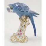 A Royal Worcester model, male Paroquet, in blue, on a gilt and white stump decorated with flowers,