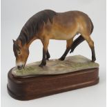 A Royal Worcester model, Exmoor Pony, modelled by Bernard Winskill, marked Imperfect,