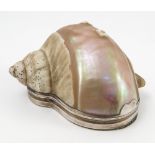 An Antique silver mounted shell snuff box,