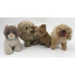 A Chadd Valley plush dog,