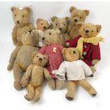 Nine gold plush teddy bears, with stitched and button eyes,