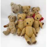 Eight gold plush teddy bears,