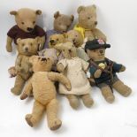 Nine various gold plush teddy bears, with stitched features,