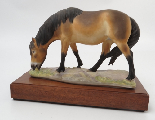 A Royal Worcester limited edition model, Exmoor Pony, modelled by Bernard Winskill,