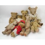 Eight gold plush teddy bears,