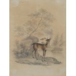 W Gunton, two pencil and watercolour studies, of a stag, and of a spaniel flushing a pheasant, af,