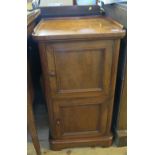 A 19th century mahogany bedside cabinet,