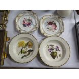 A Pair of Early Derby Named Botanical Plates (A/F) and pair of Chamberlains Worcester floral