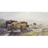 Tom Rowden, Dartmoor Ponies, watercolour, 37 x 20cm