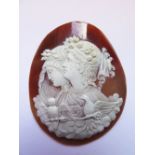 A Fine Nineteeth Century Shell Cameo decorated with bust of male and female with dove and owl, 7 x