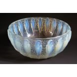 R. Lalique _ A Perruches Opalescent and Blue Stained Bowl, 24 cm, acid etched mark to base