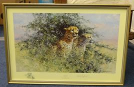 DAVID SHEPHERD Limited edition prints 'Cheetah' No 355/1500, 'After the rain',no 578/850 both 24cm x