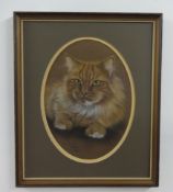 SUE WILLS pastel 'Cat', signed 31cm x 23cm