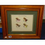 A framed set of four Salmon Flies, 'Tied by F.McPhillips'