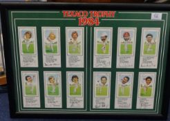 Cricket Texaco Trophy 1984, collection of cards 'signed' by the players also a collection of replica