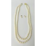 A set of pearls with 9ct gold clasp t/w a pair of earrings.