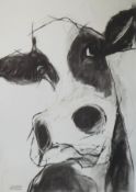 VALERIE DAVIDE black and white print of cow, 73cm x 51cm, Valerie Davide is a contemporary Cornish