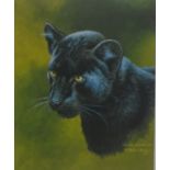 Stephen Gayford group of four signed prints 'Siberian Tiger Cub' from a limited edition of 425